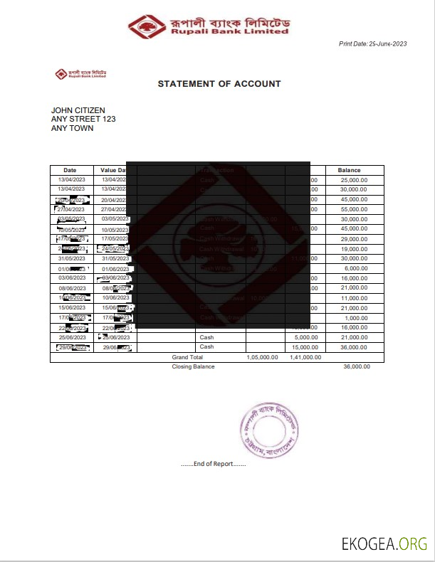 Modèle de relevé bancaire India Rupali Limited, format Word et PDF